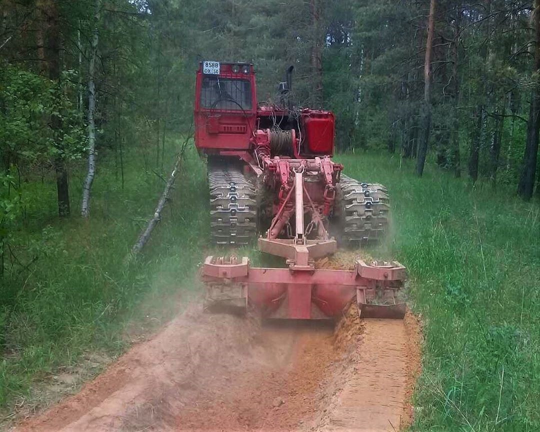 В Шатурском лесничестве проведено устройство 153 км минерализованных полос  и барьеров - ГАУ МО Центрлесхоз